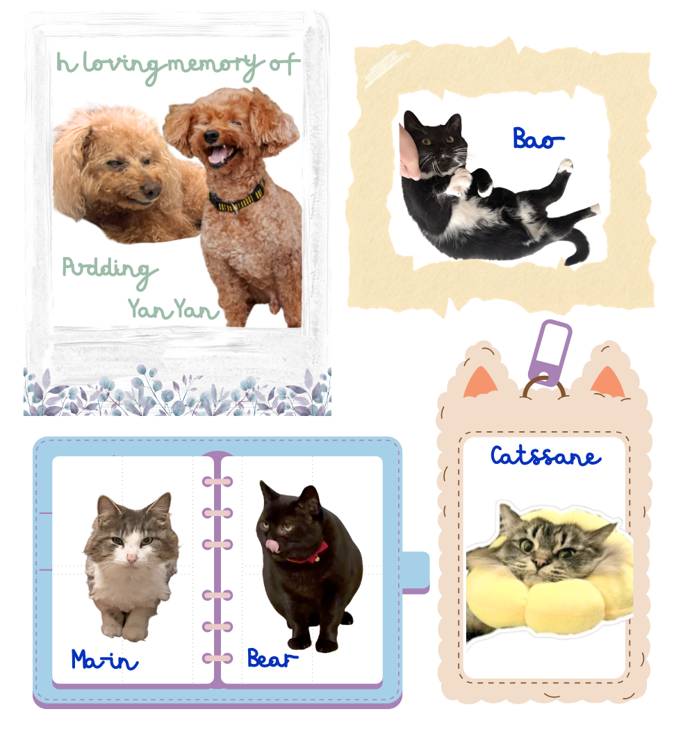 The dogs and cats behind Meowdow